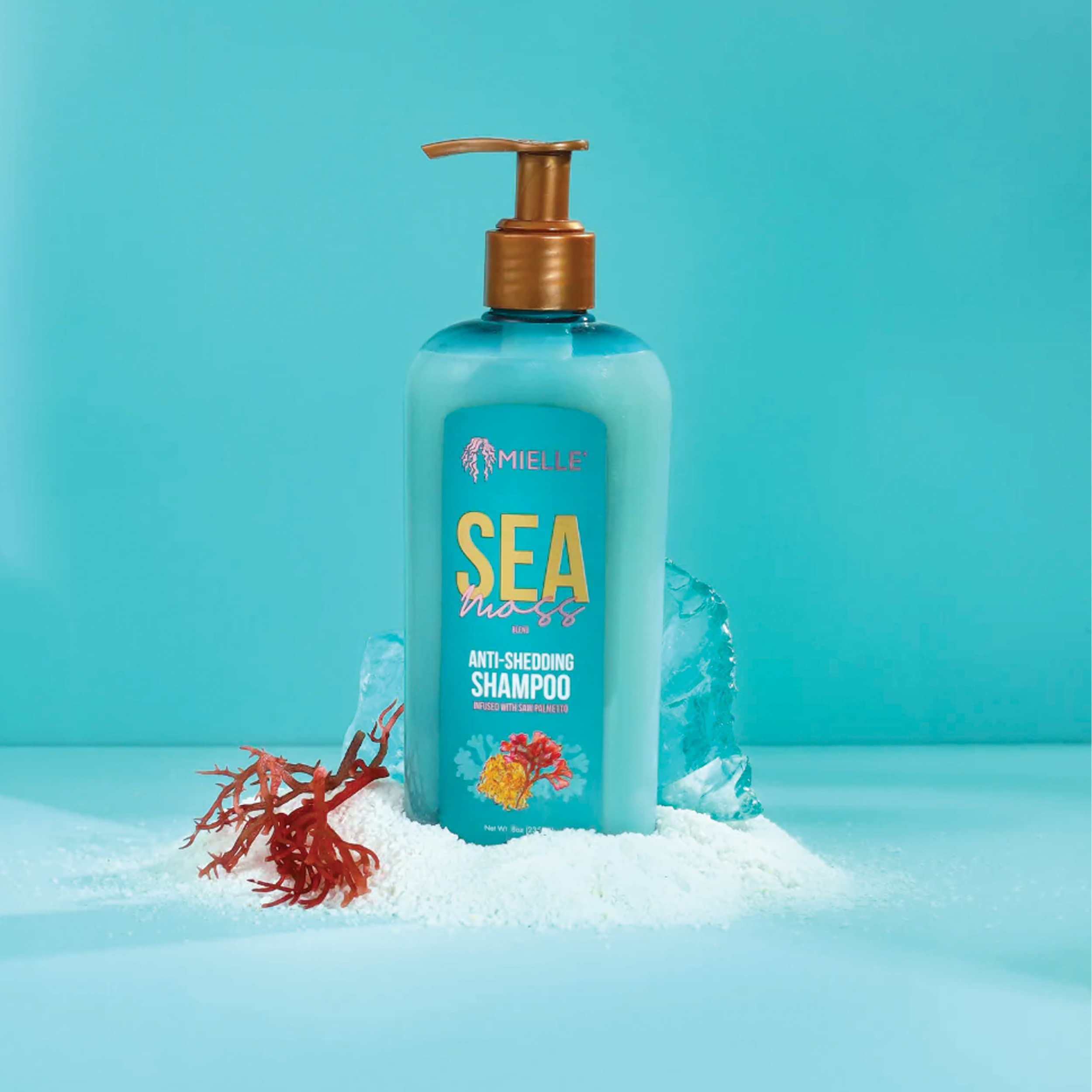 Amazon.com : Mielle Organics Sea Moss Anti-Shedding Shampoo